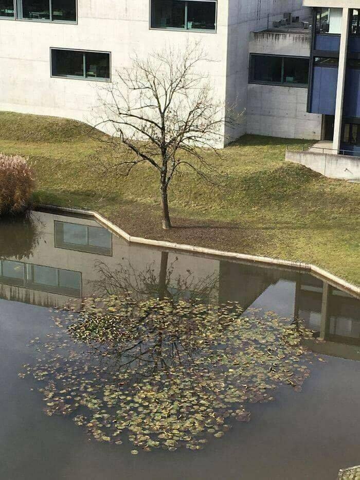 파워볼 분석과 실시간패턴통계