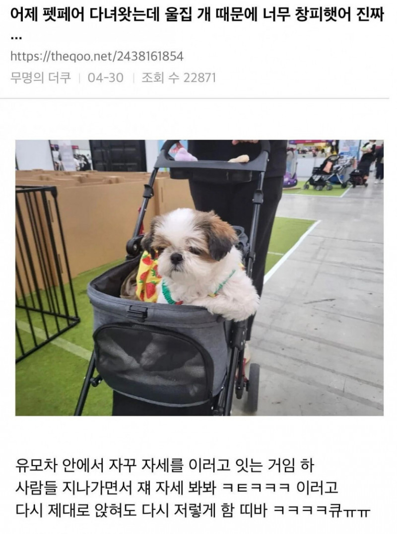 달팽이필승