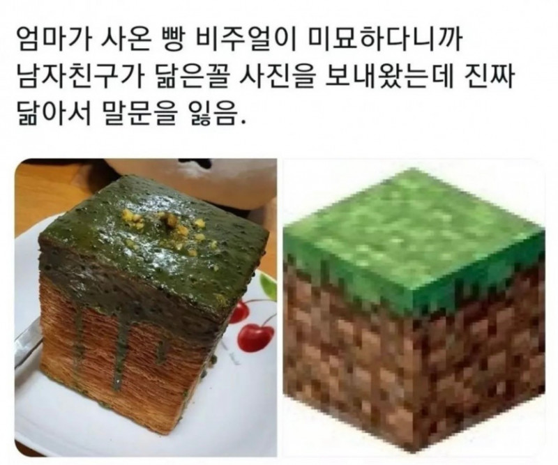 달팽이게임통계