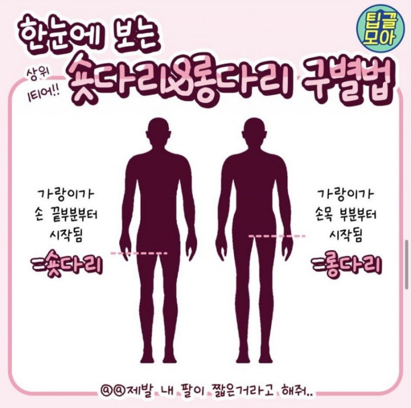 파워볼게임분석기