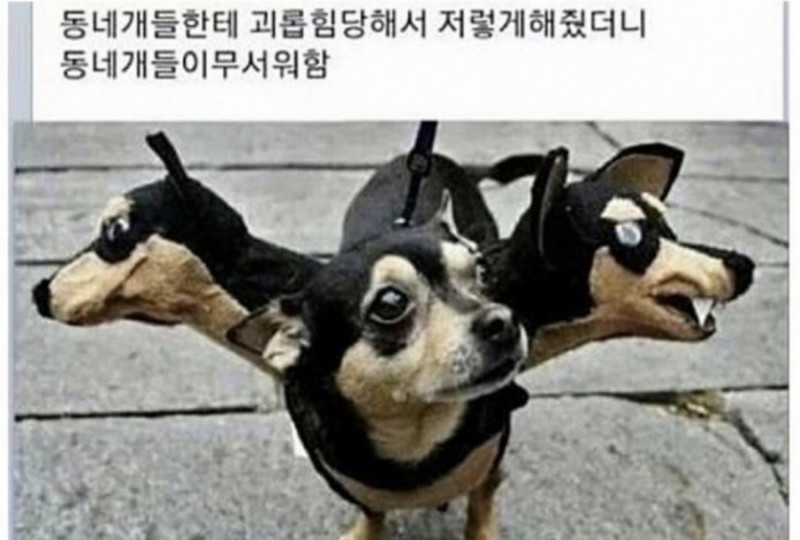 파워볼게임분석