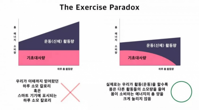 달팽이 분석과 실시간패턴통계