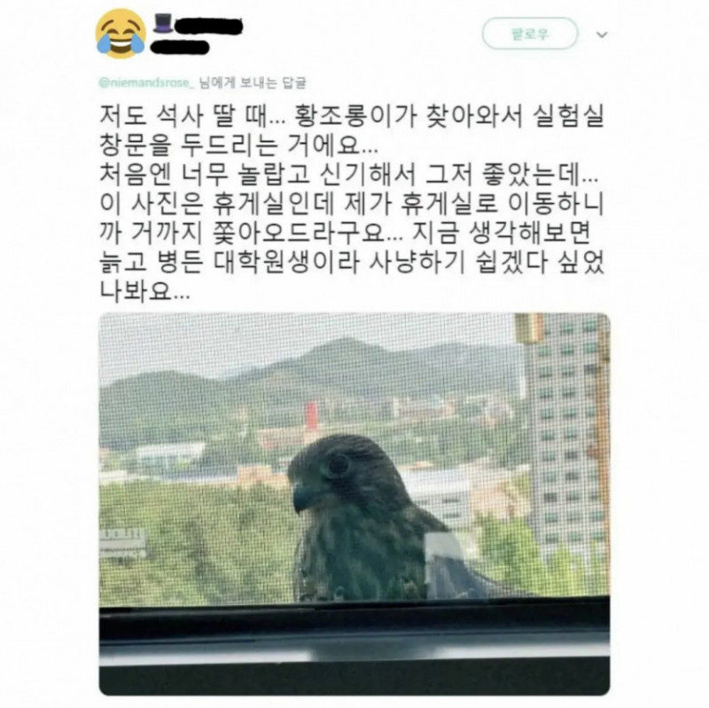 달팽이필승