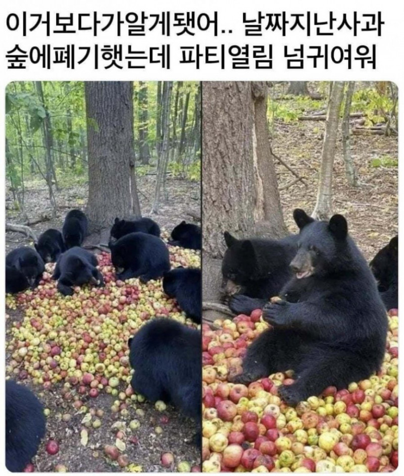 달팽이게임픽