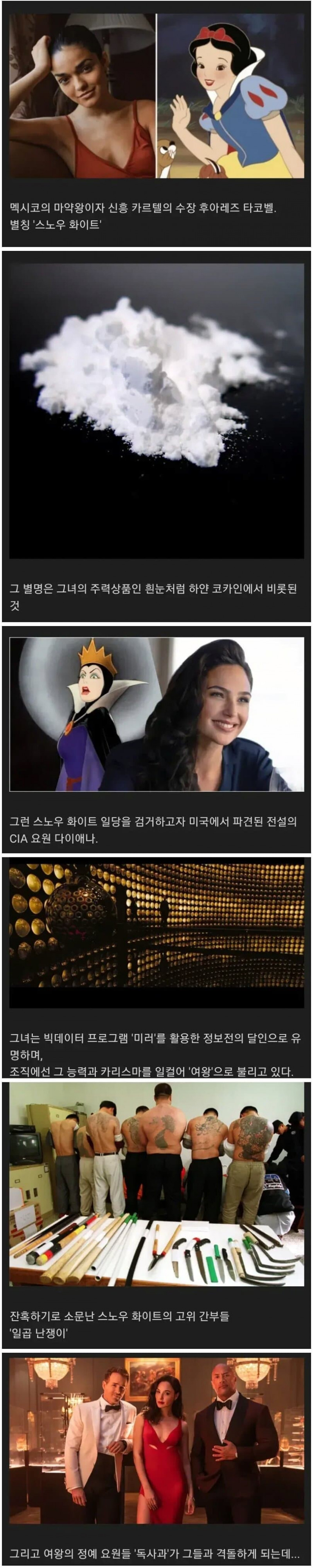 사다리게임통계