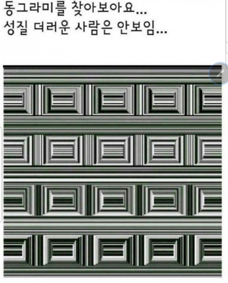 사다리게임