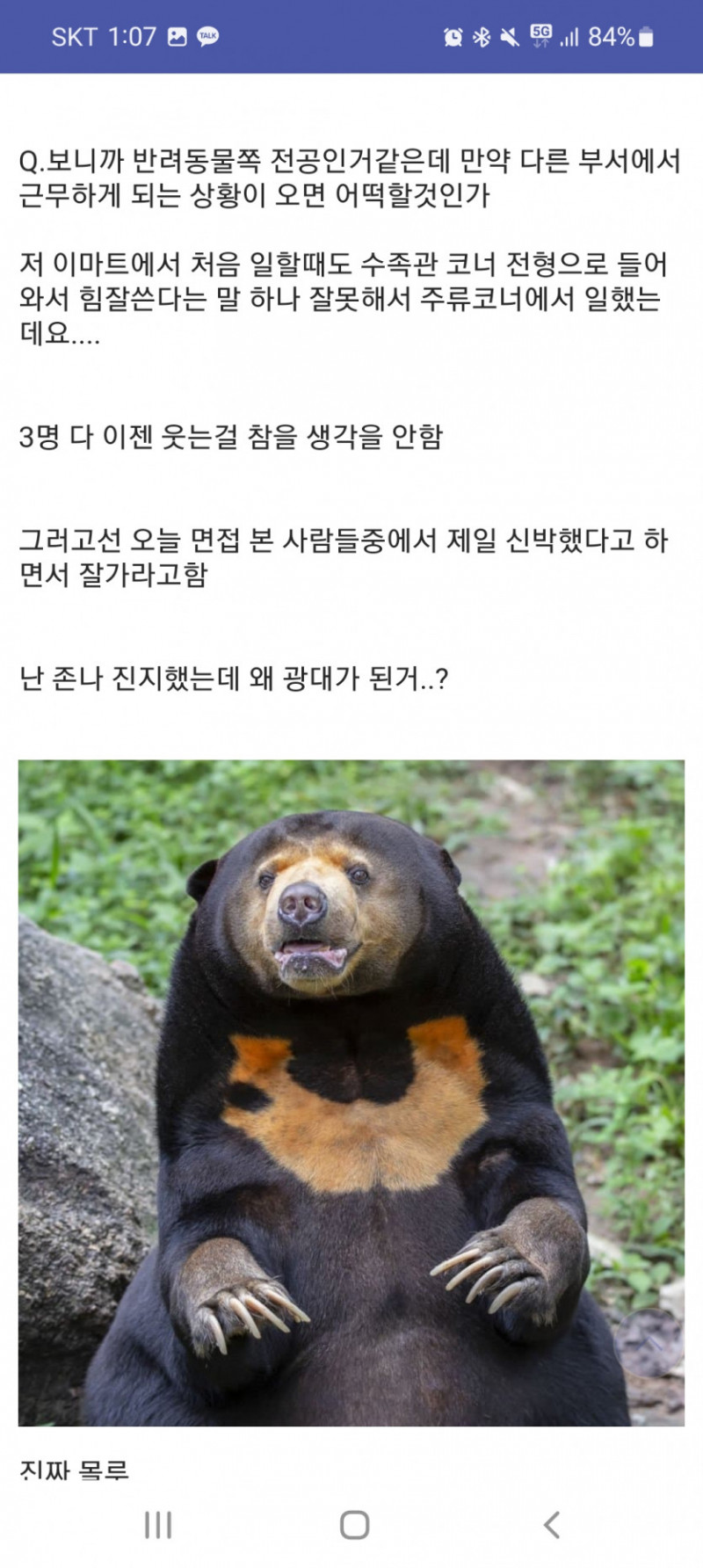 성인게임