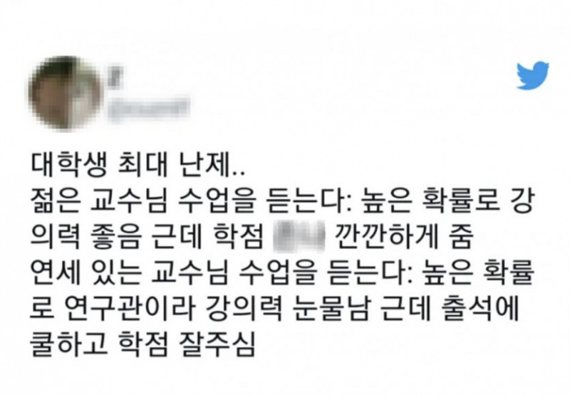 실시간다리다리