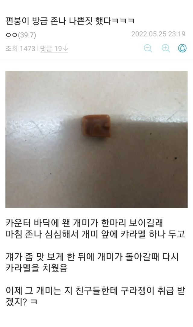 실시간게임