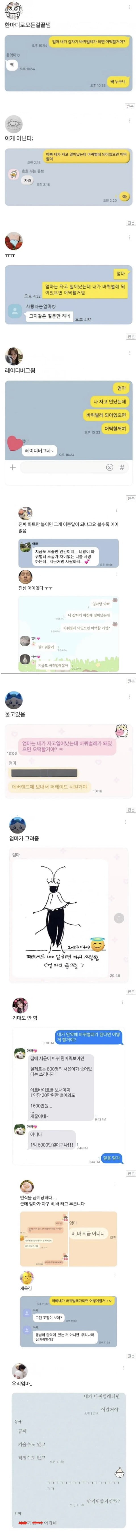 달팽이 분석과 실시간패턴통계