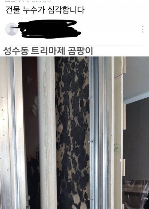 파워볼 분석과 실시간패턴통계