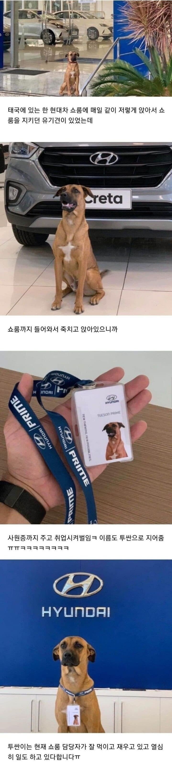 파워볼게임픽게임