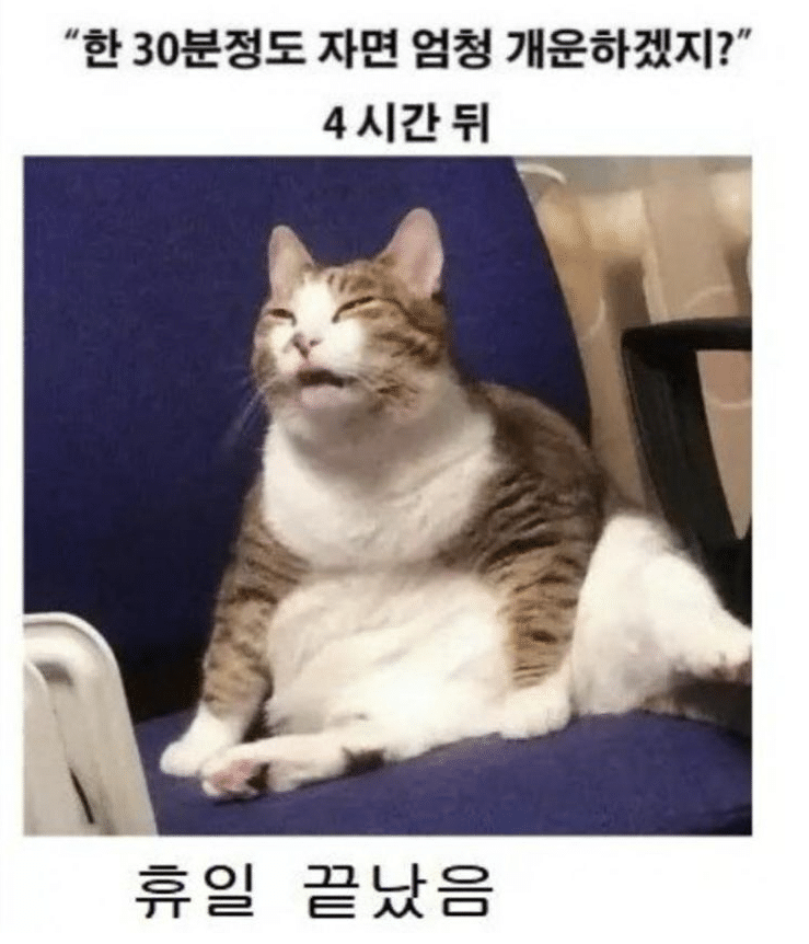 달팽이게임