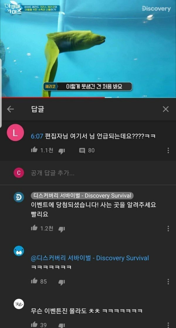 나눔로또 파워볼분석기