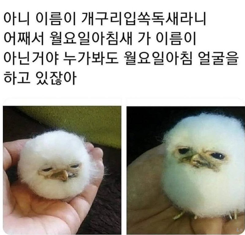 파워볼