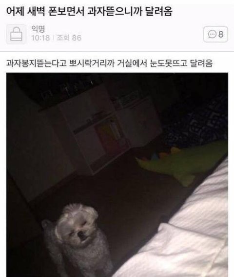 달팽이게임픽게임