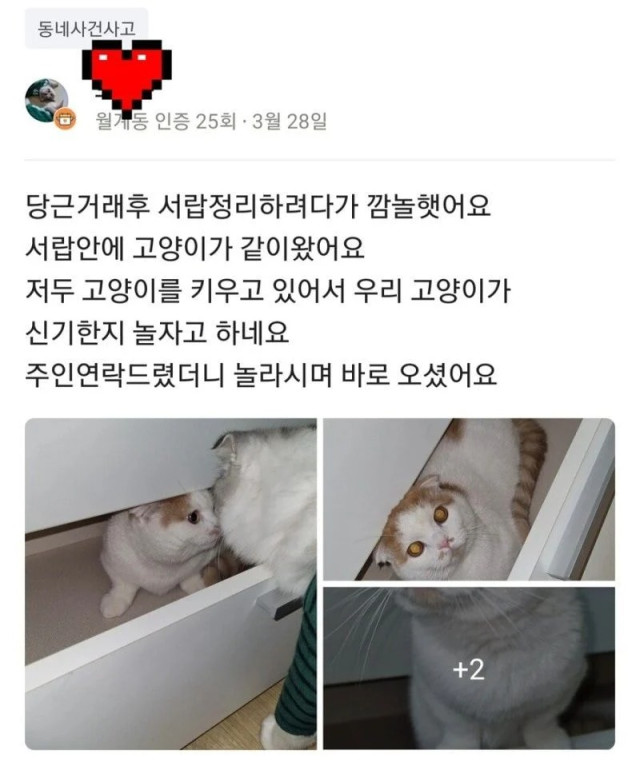 사다리게임분석기