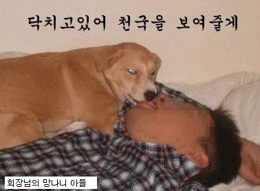 파워볼게임통계