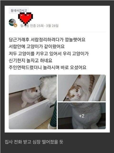 달팽이게임픽분석