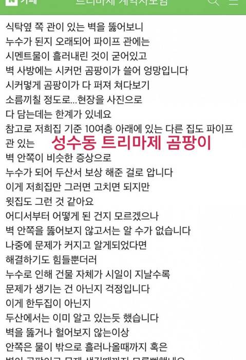 다리다리 분석과 실시간패턴통계