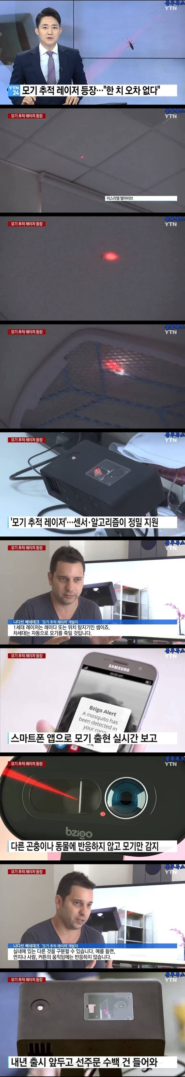 실시간게임