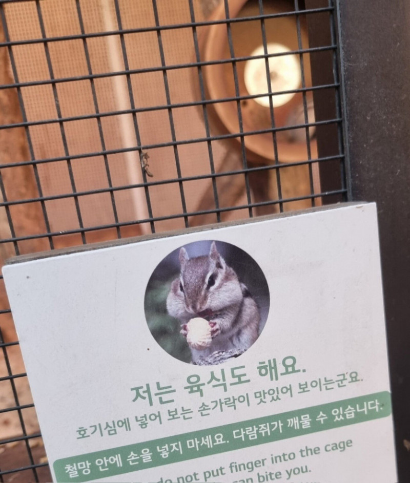 달팽이게임분석