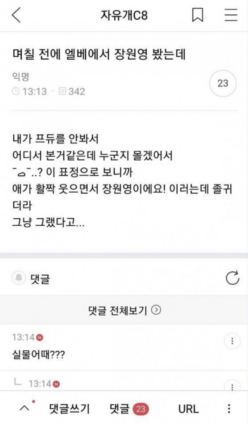 실시간다리다리