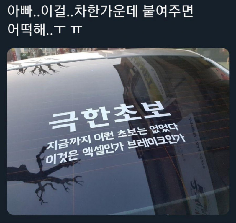 실시간사다리