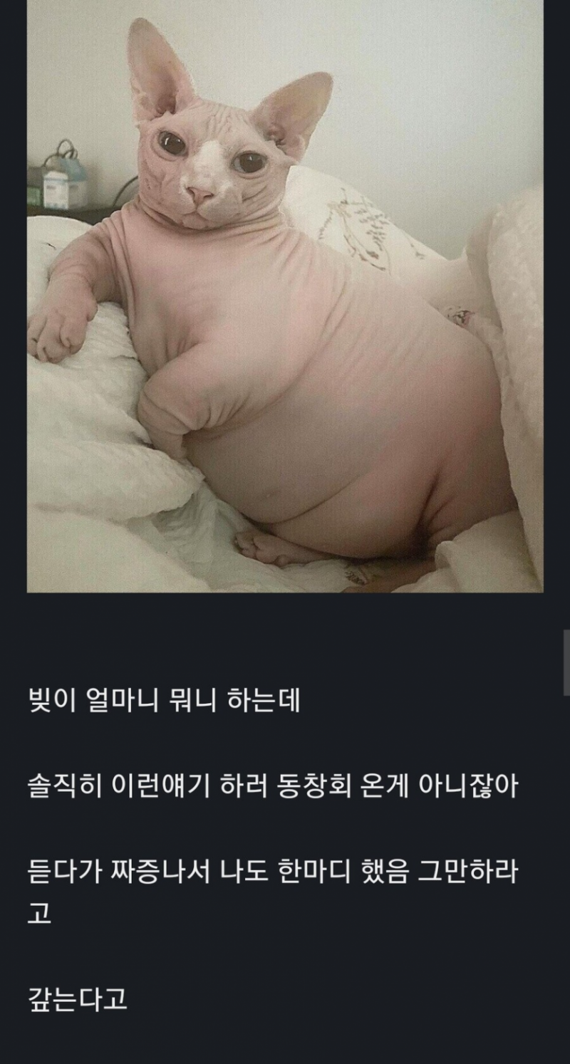 실시간게임