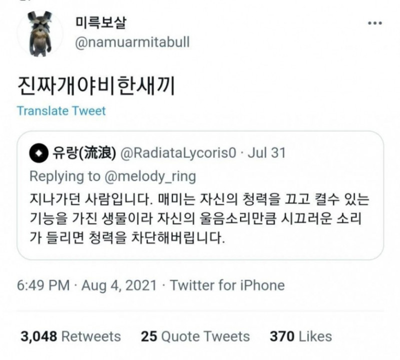 달팽이게임분석기