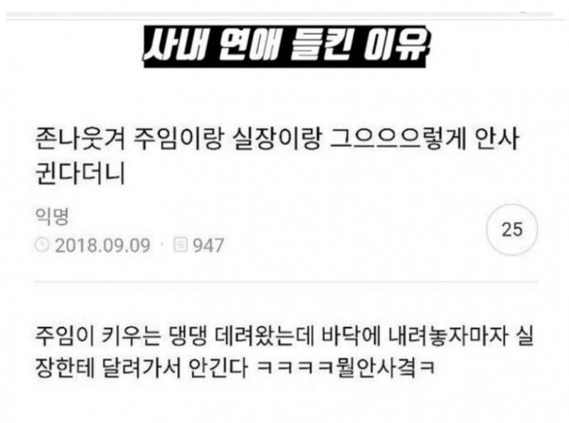 달팽이게임픽