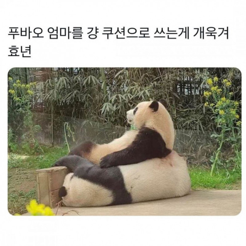 실시간달팽이