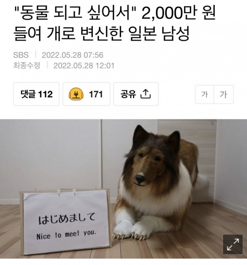 실시간달팽이