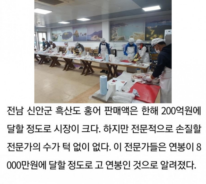 달팽이게임분석기