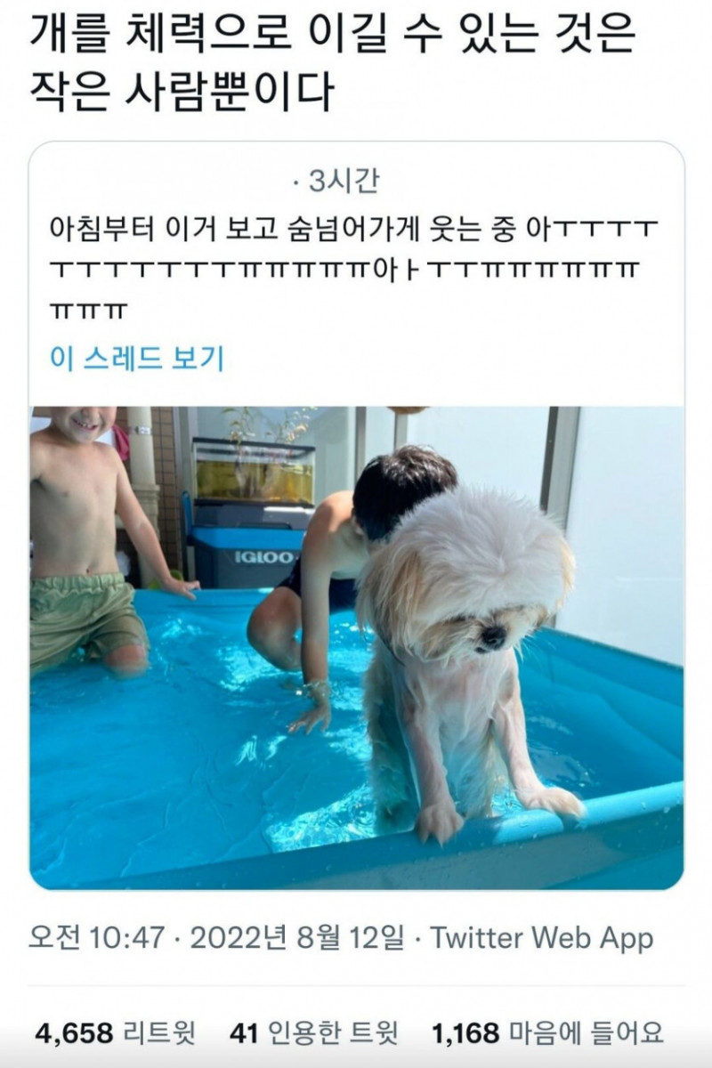 파워볼게임