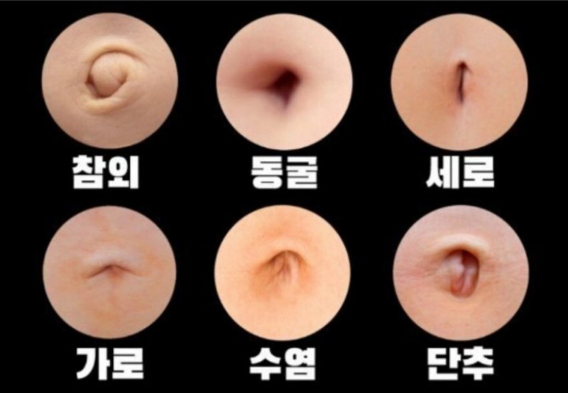 달팽이게임픽분석