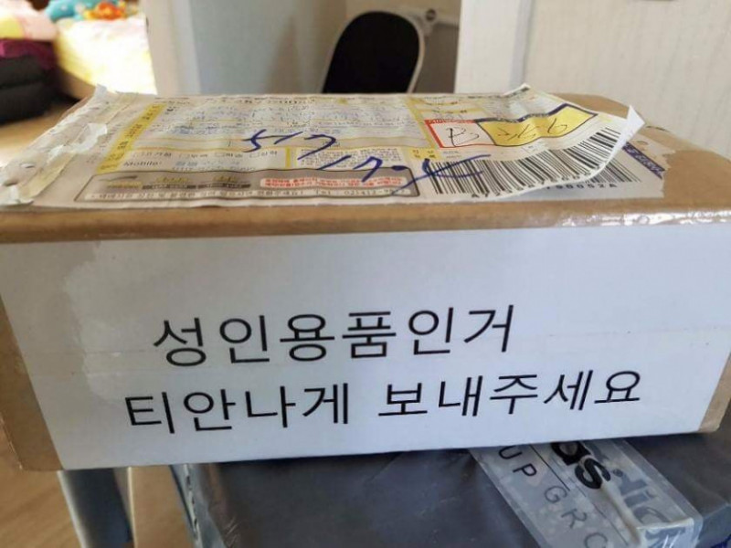 달팽이게임픽분석