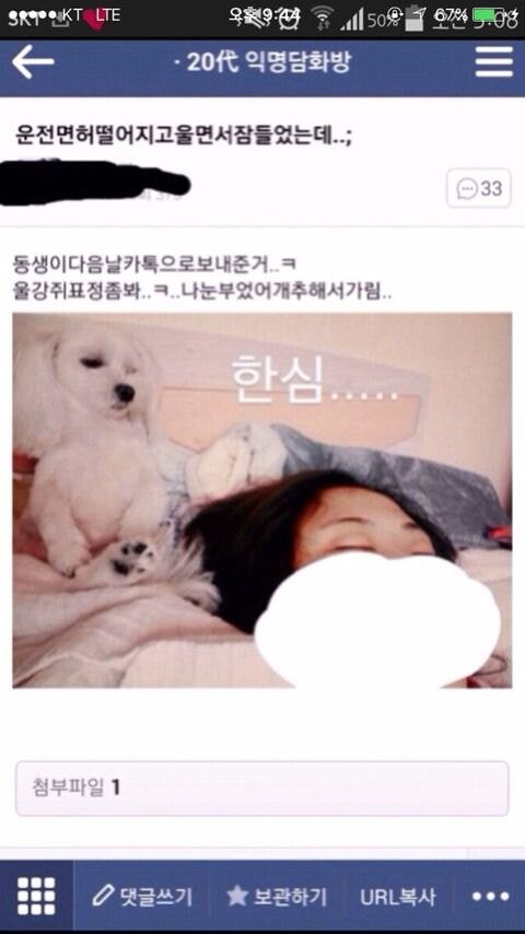 사다리 분석과 실시간패턴통계