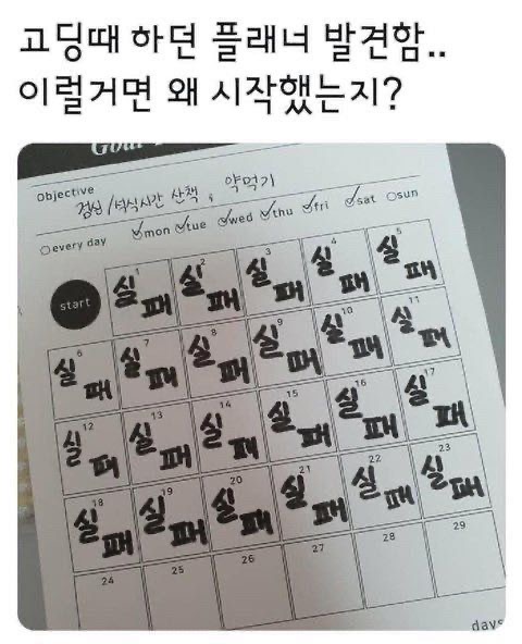 달팽이게임픽분석