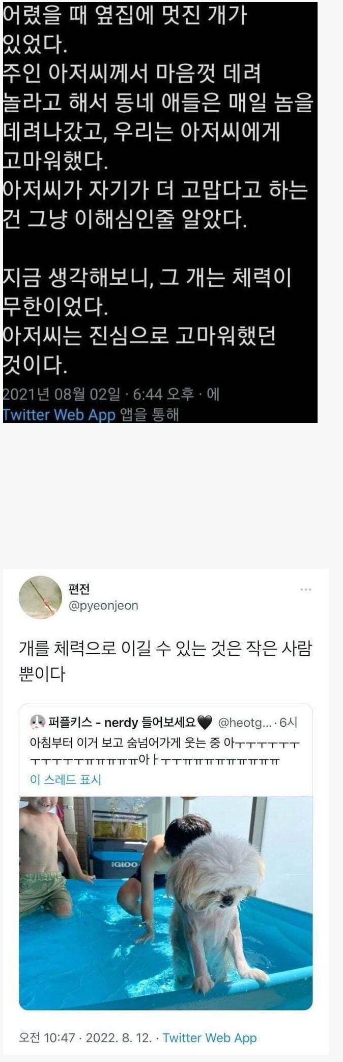 사다리게임통계