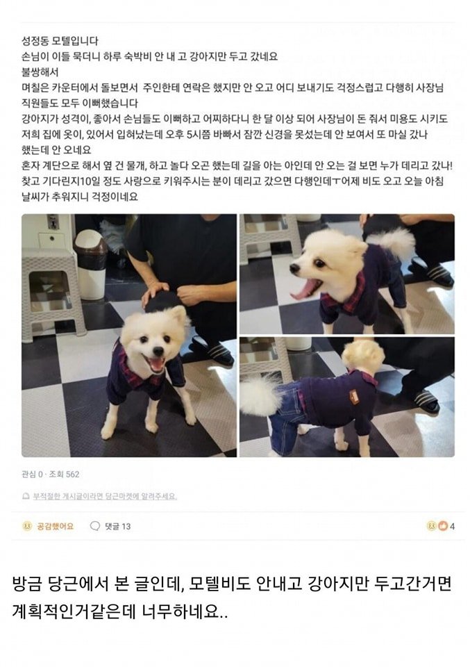 실시간달팽이