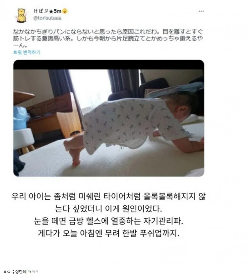 파워볼게임픽분석