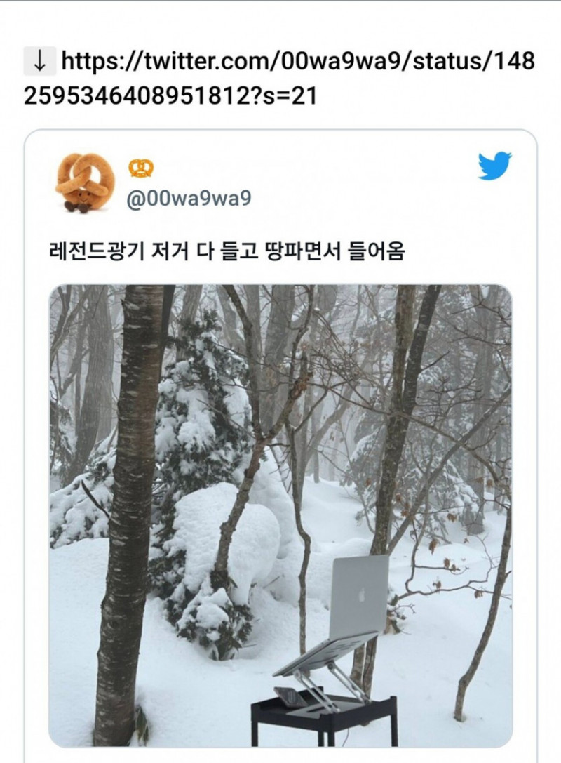 사다리게임픽