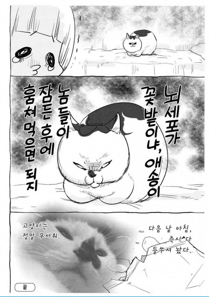 달팽이 분석과 실시간패턴통계