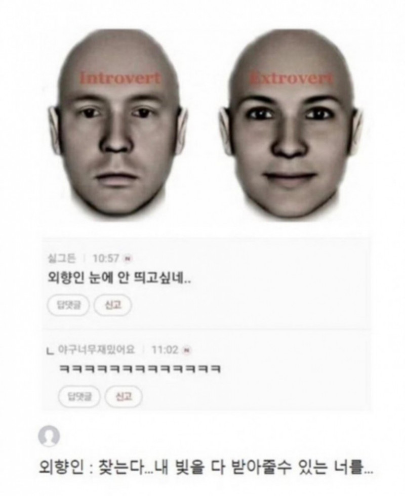 나눔로또 파워볼분석기