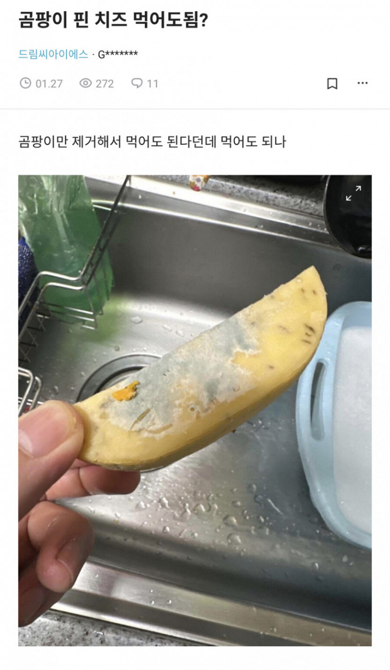 파워볼필승