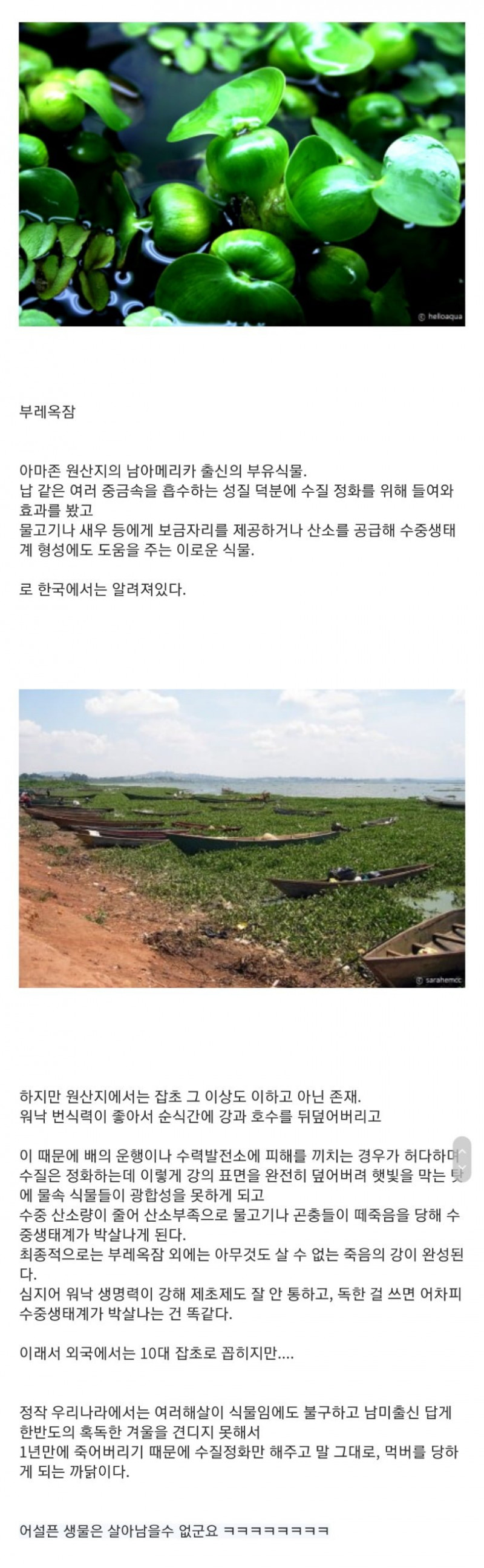 달팽이게임픽분석