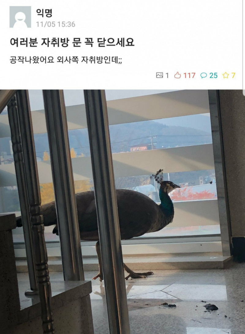 파워볼게임픽