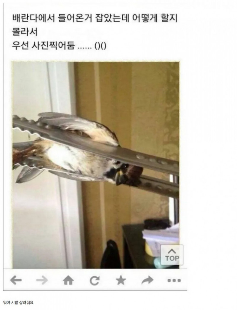 나눔로또 파워볼분석기