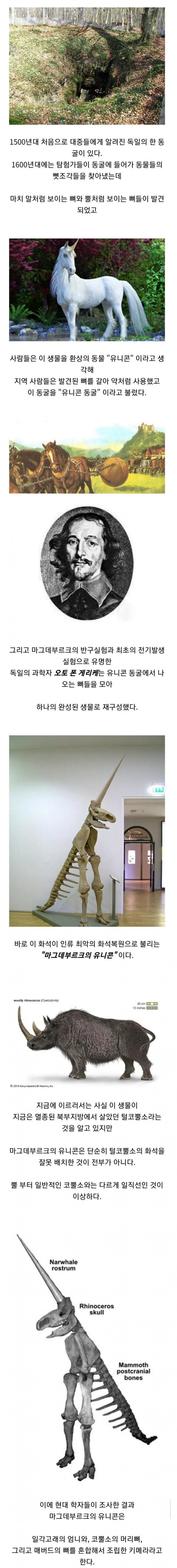 실시간파워볼